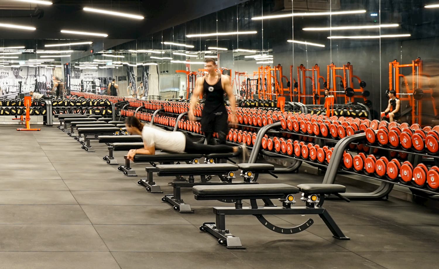 FW_gym FW_gym
